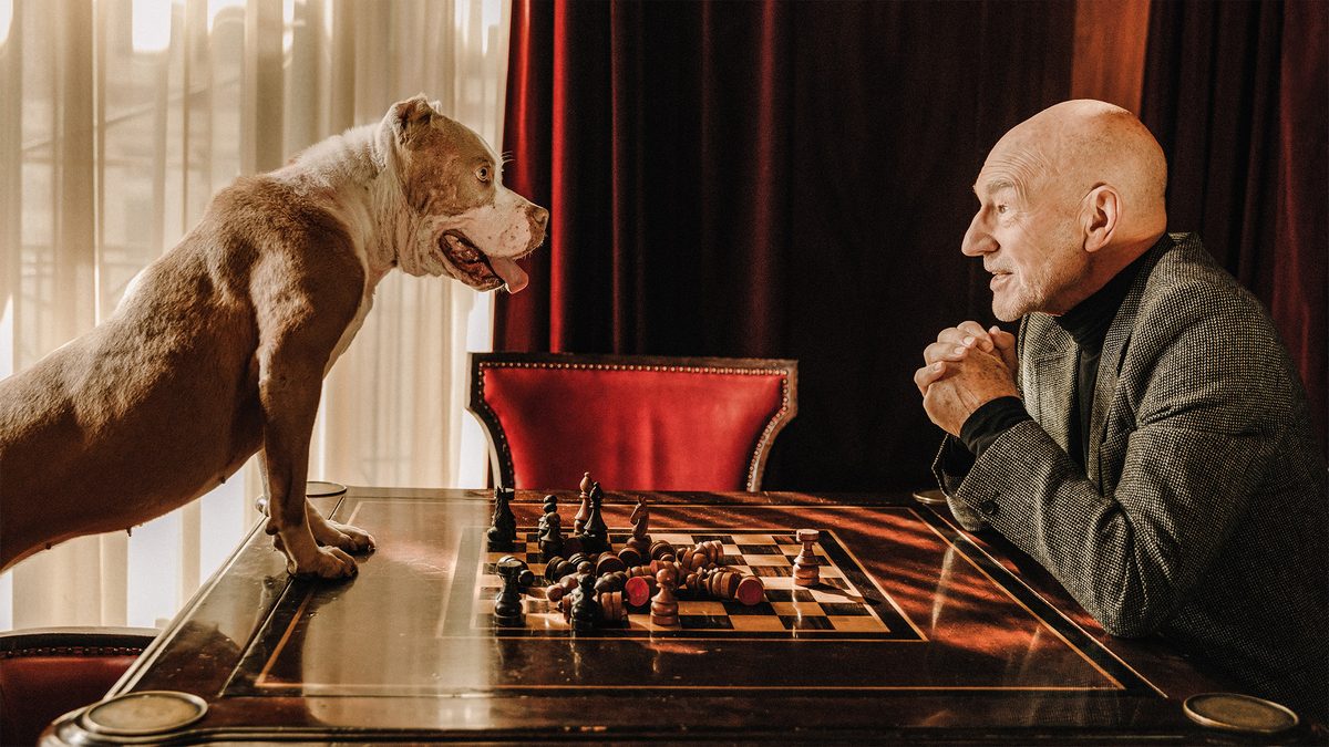 Patrick Stewart playing chess with a dog.