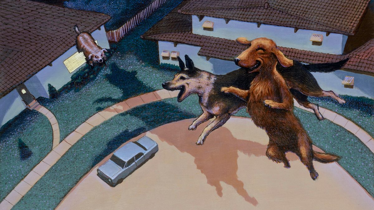 Playboy Fiction: Hush Puppies
