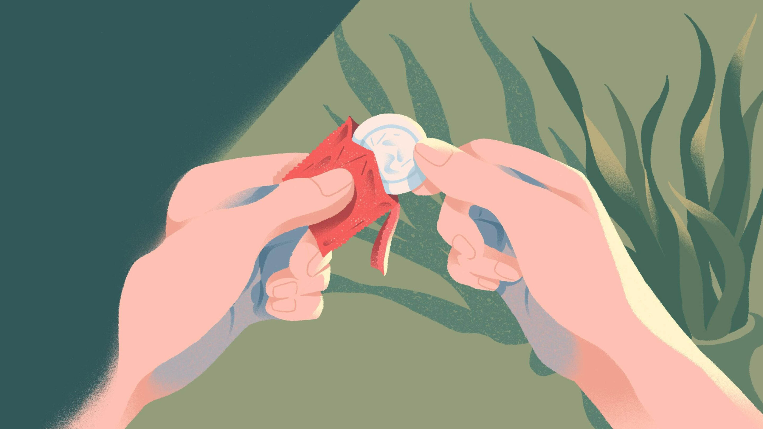 2_Protection_Ecorotic-InArticle.jpg