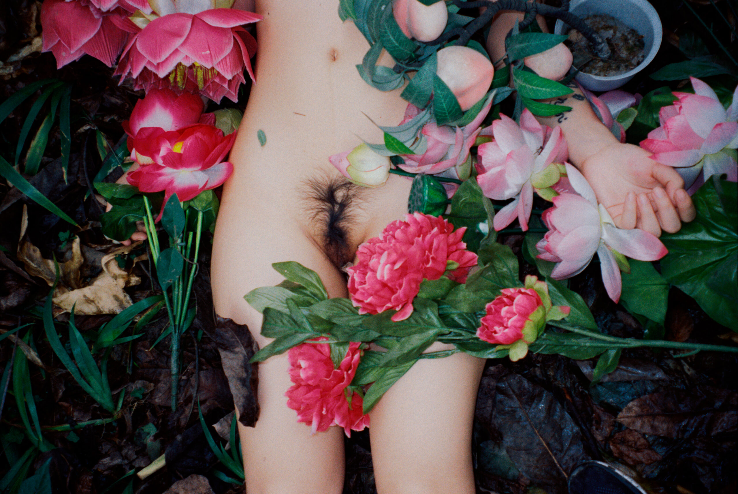 AWRTP-Erica-Jong embed06