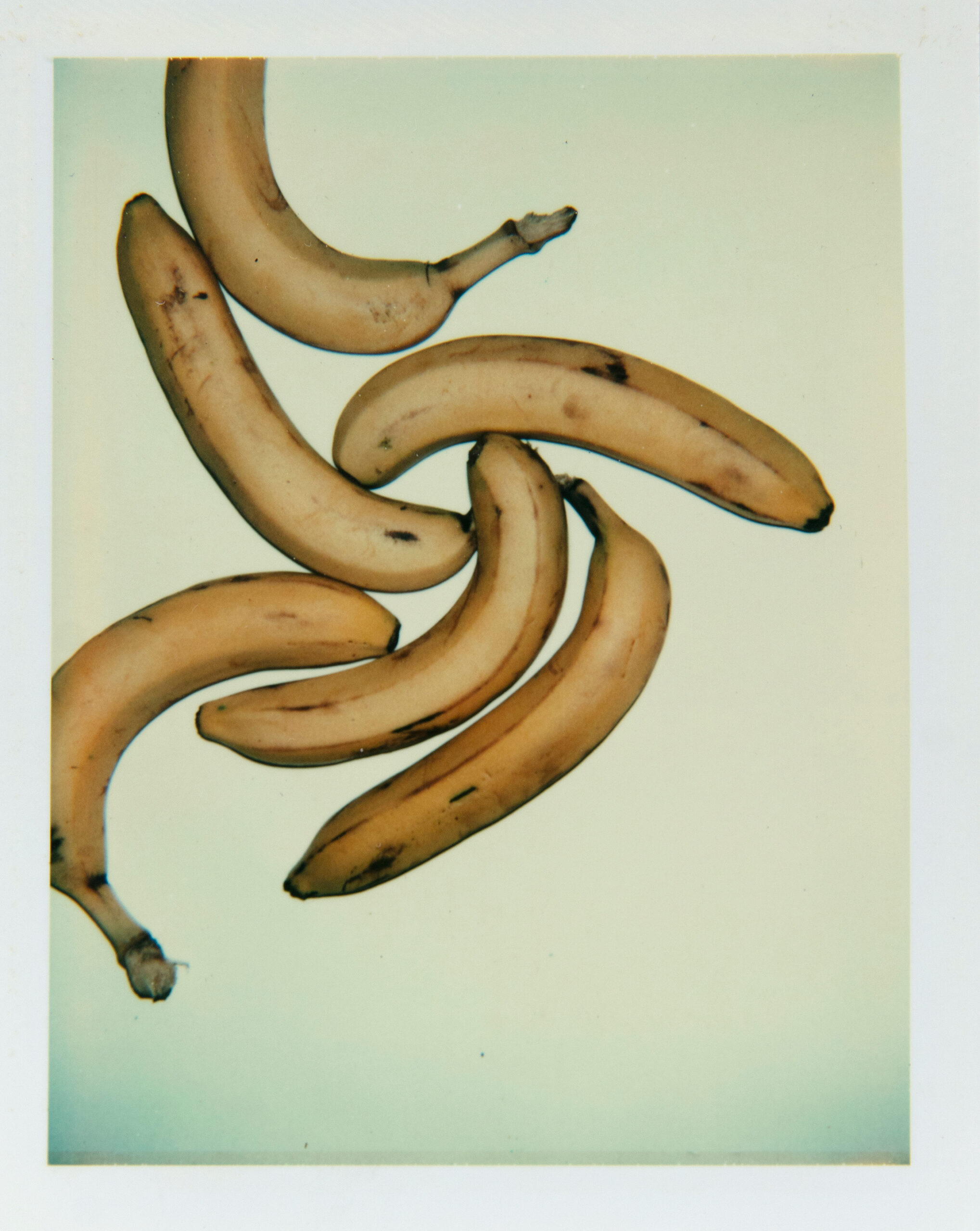 Andy-Warhol embed02B