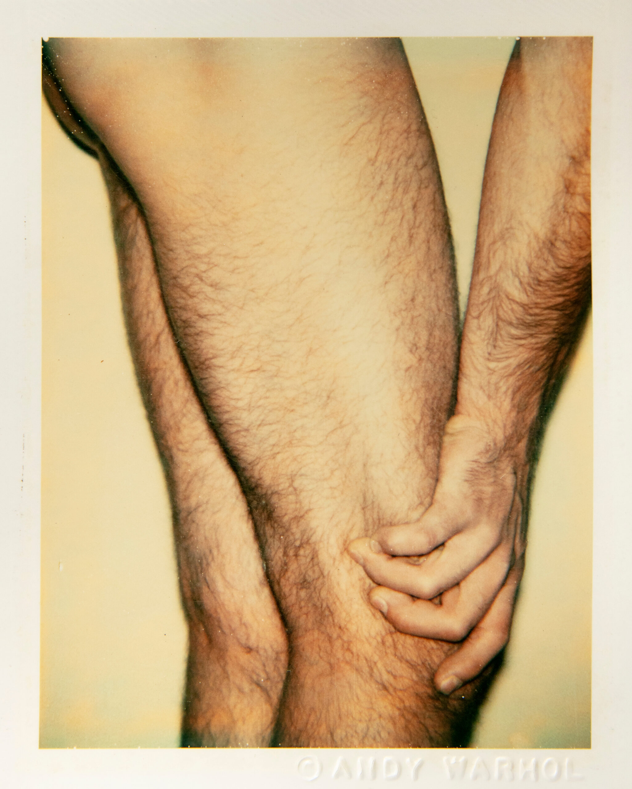 Andy-Warhol slideshow04