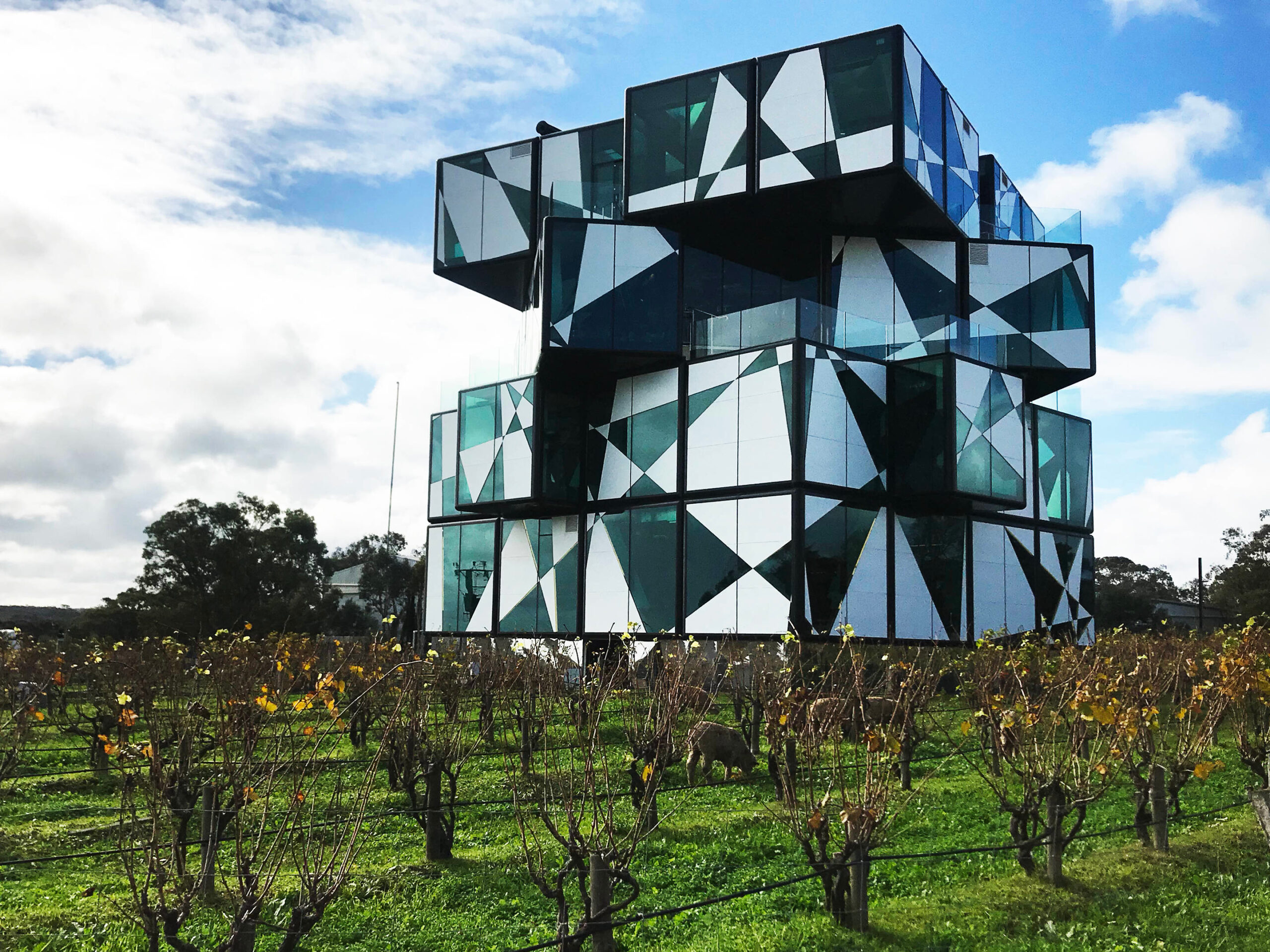 DArenberg-Cube_embed03.jpg