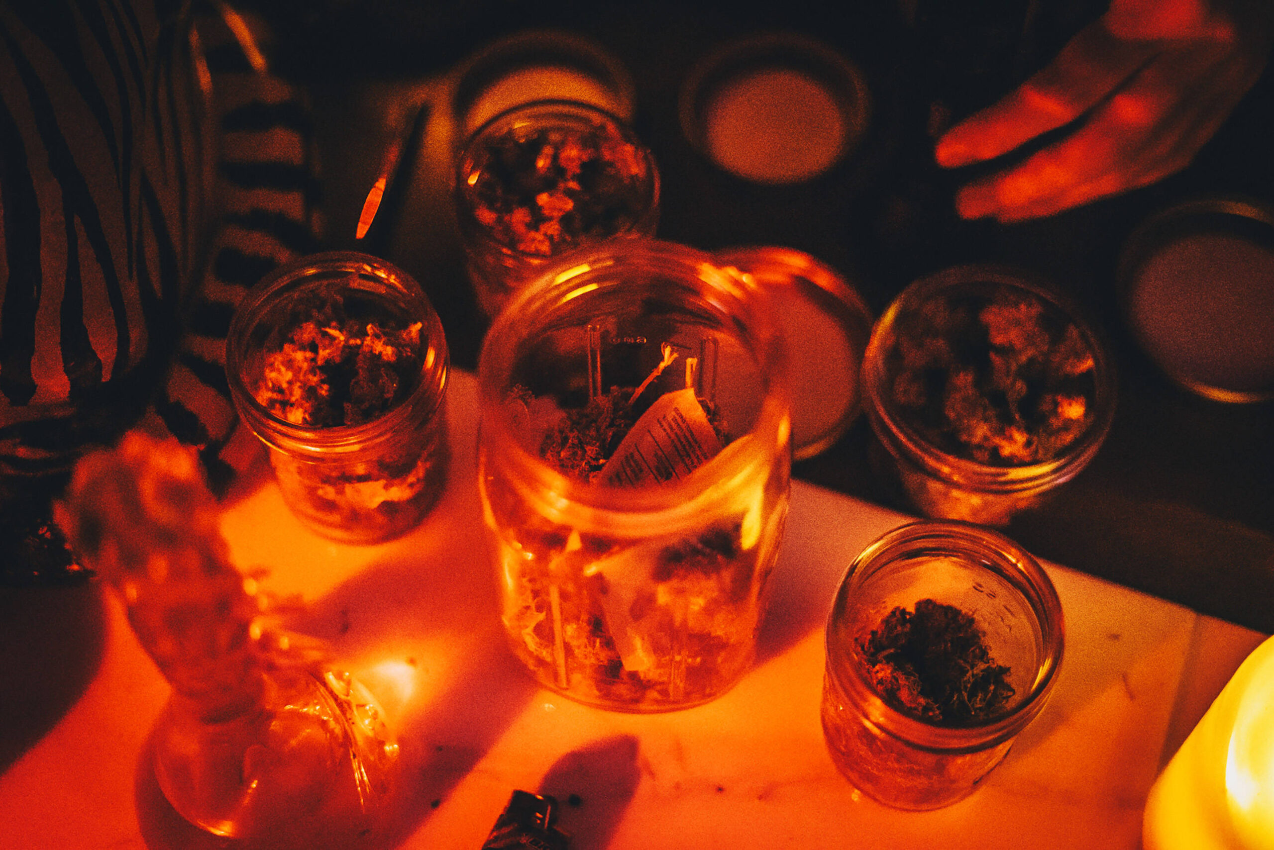 Danksgiving_embed04.jpg