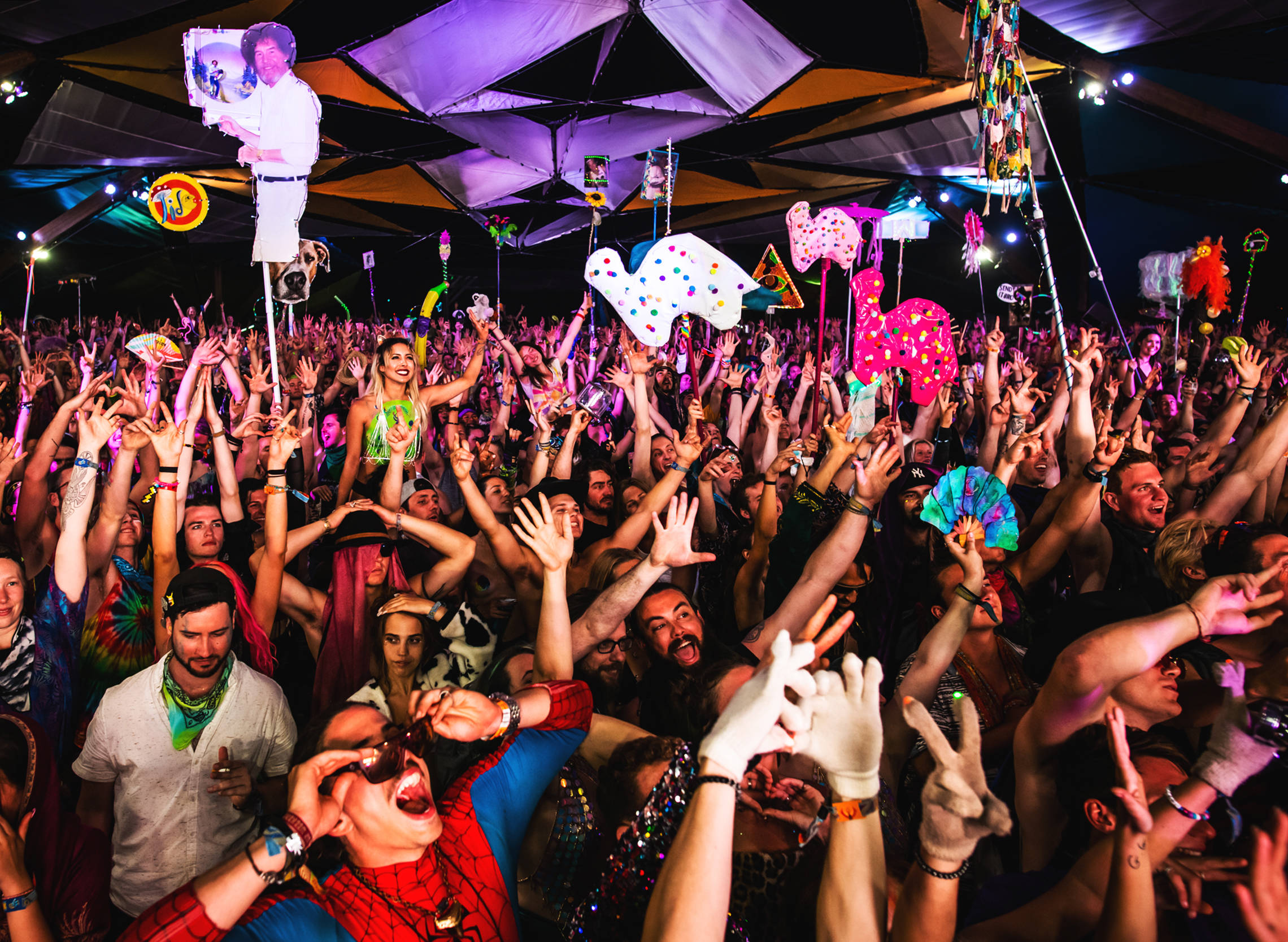 Festival-Harm-Reduction_embed03.jpg