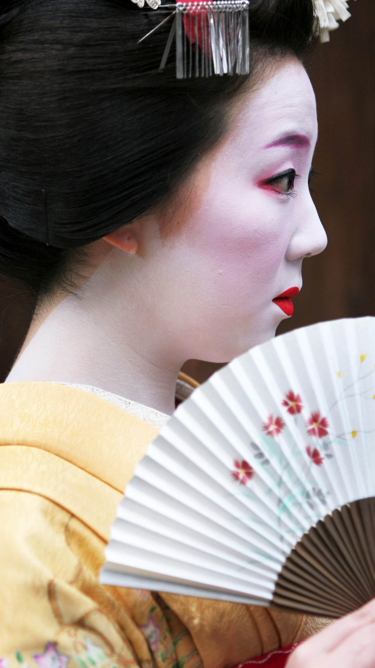 Geisha_(02).jpg