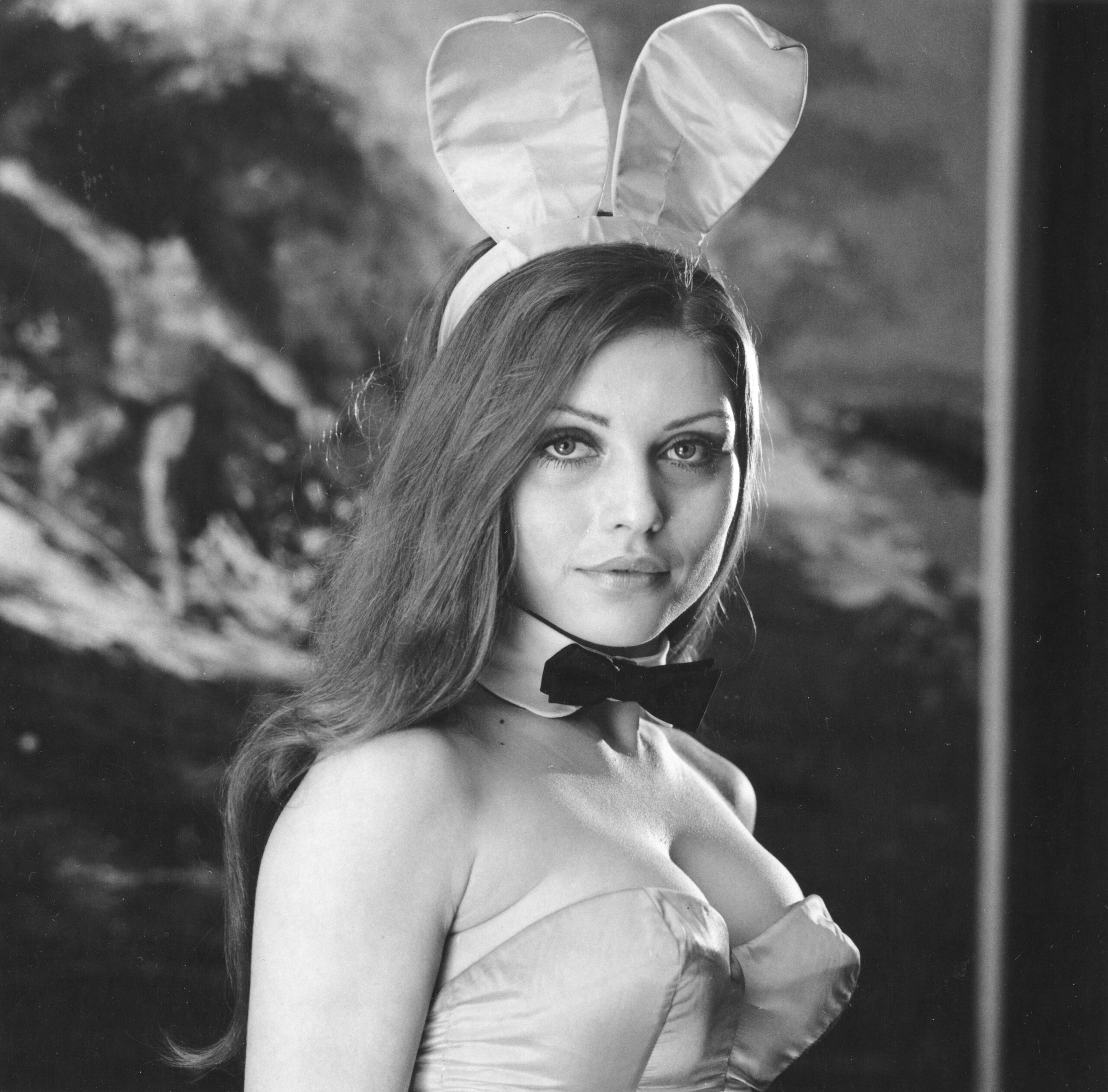 Heritage Bunny-Spectacular embed04