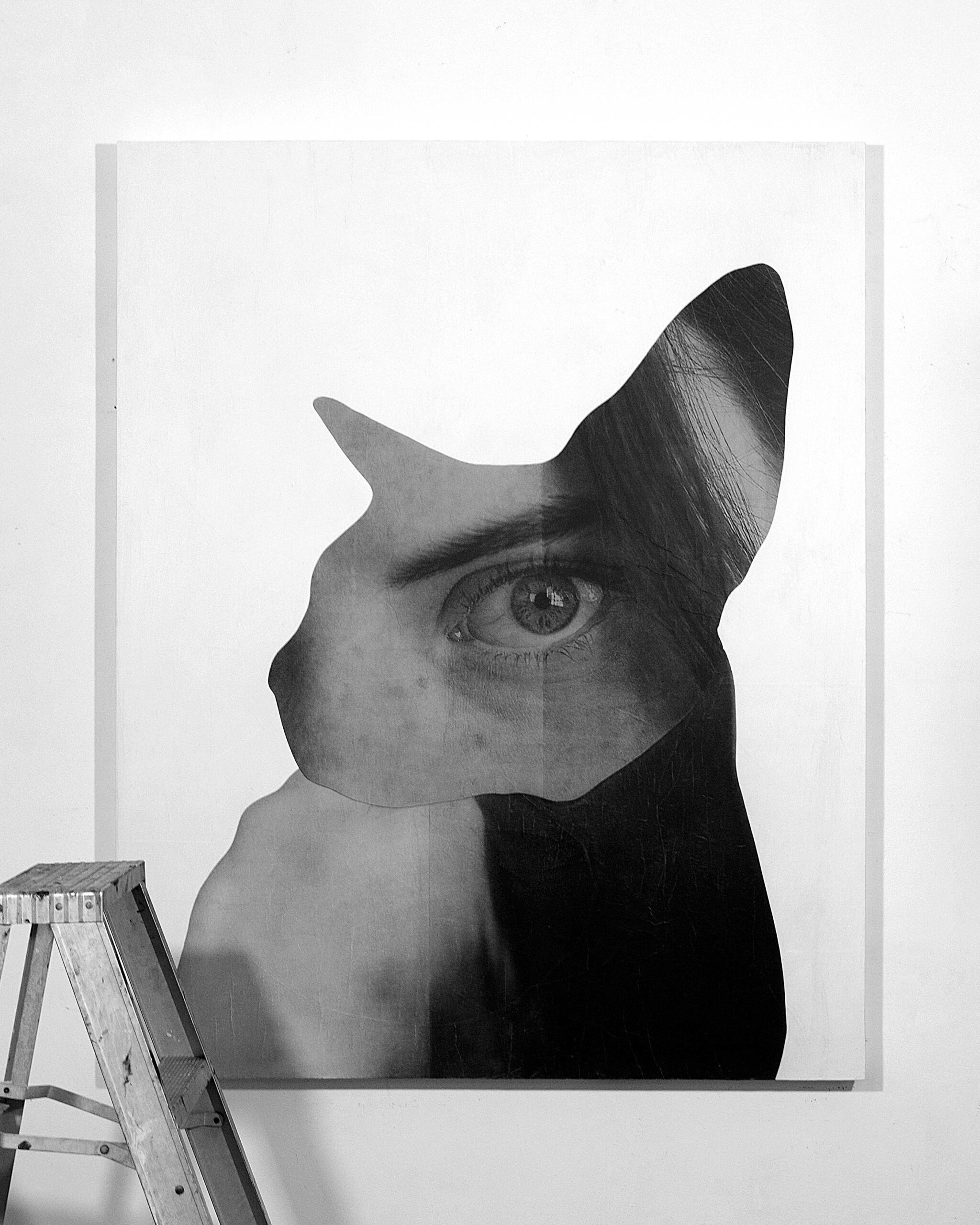Jesse-Draxler_embed02B.jpg