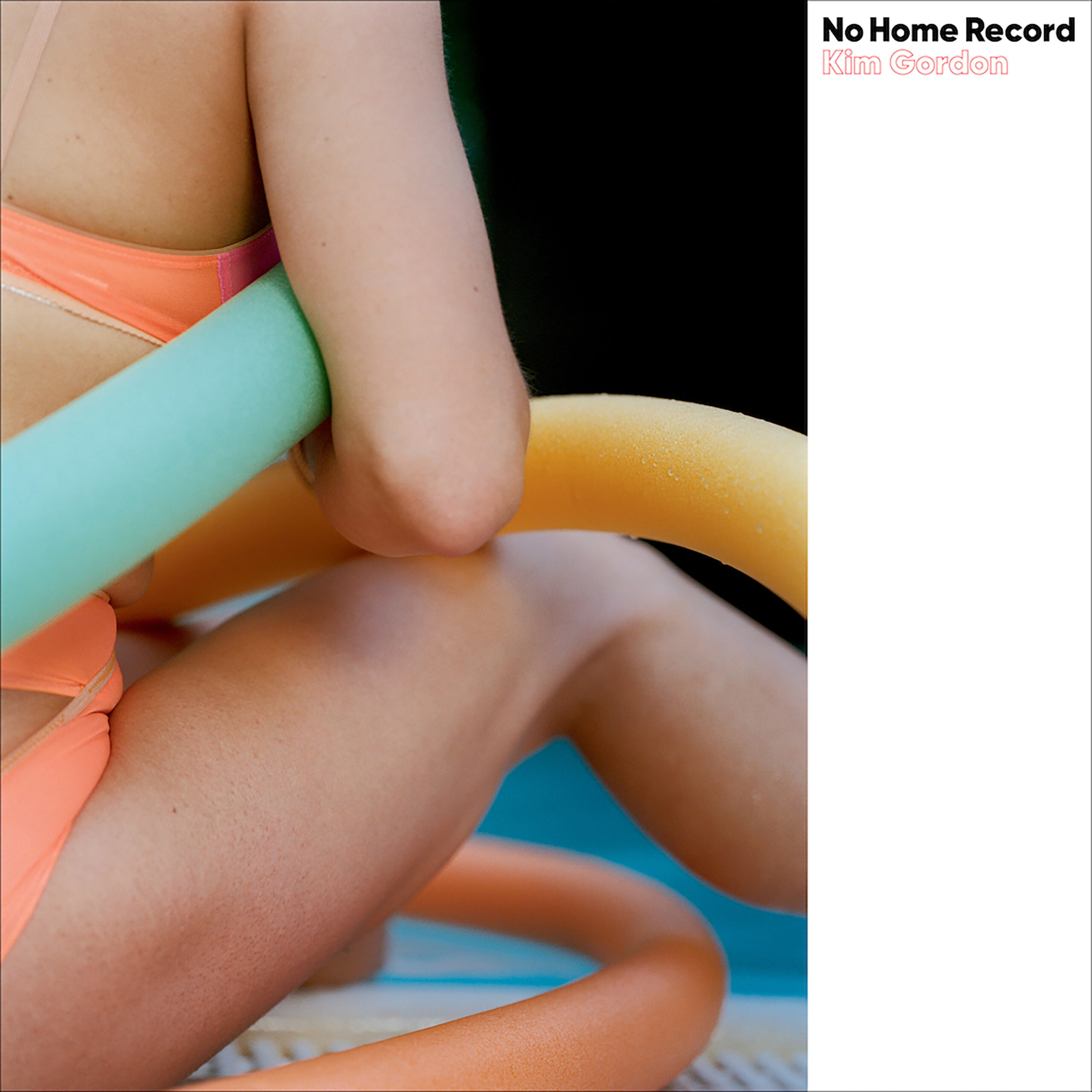 Kim-Gordon embed01