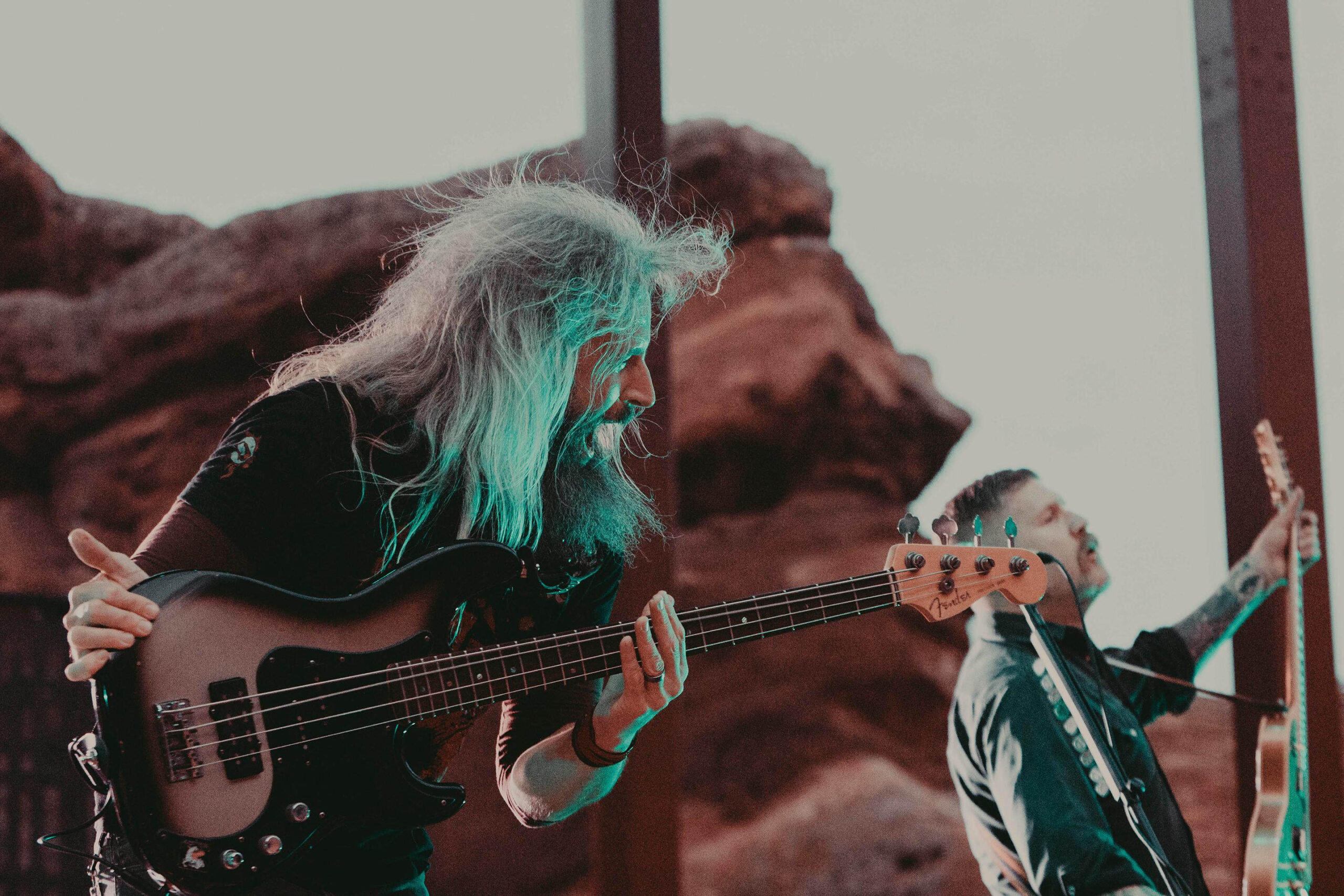 Mastadon-Jacki Vitetta(12).jpg