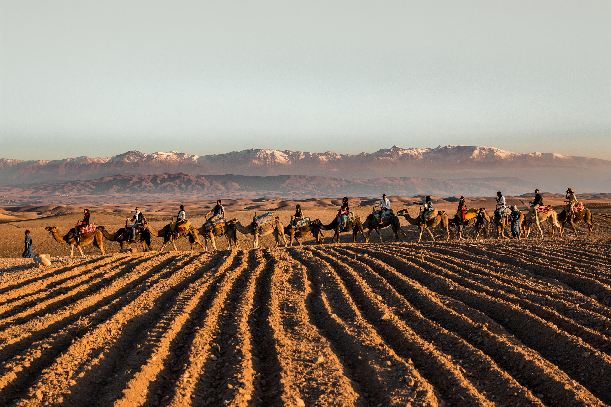 Morocco-Feast embed04