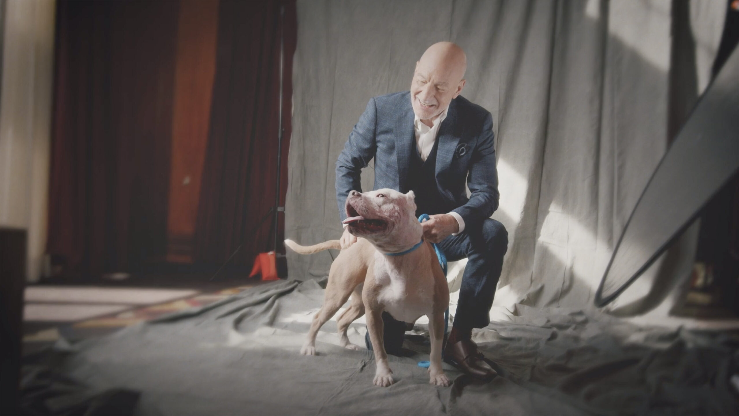Sir Patrick Stewart and the Pit Bull 