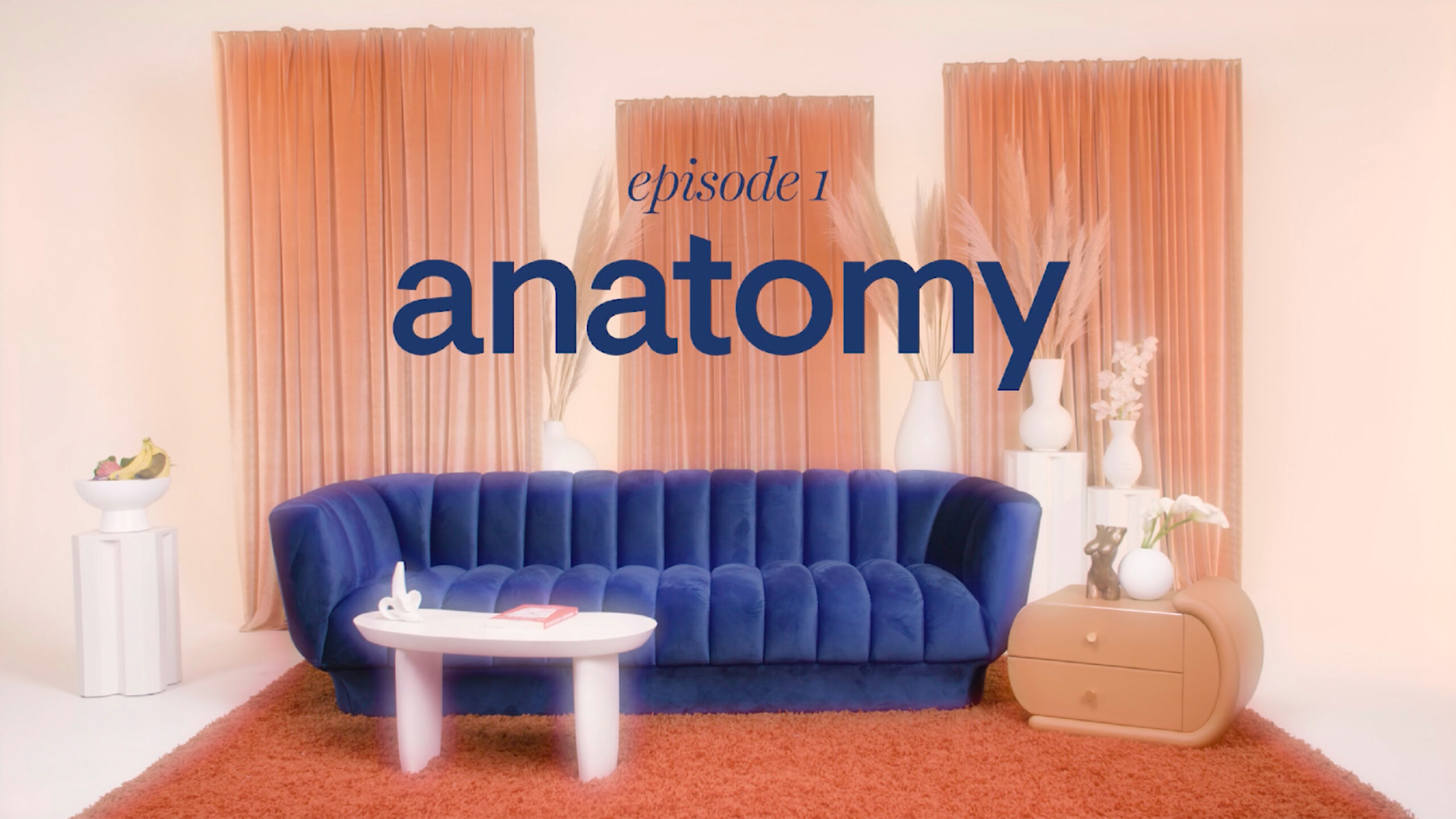 Episode 1: Anatomy 