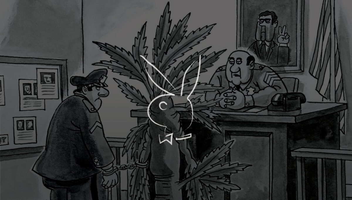 Playboy-Cartoons-Impersonating-Marijuana 16x9