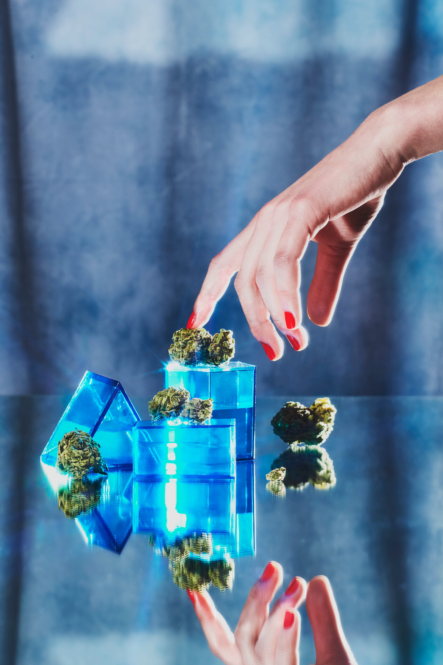 Playboy Cannabis embed01B