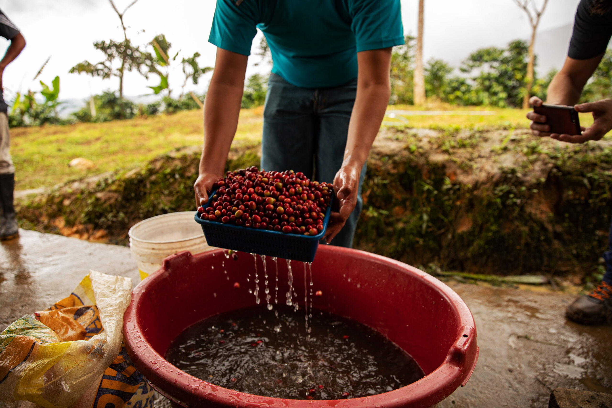Sustainable-Coffee embed04