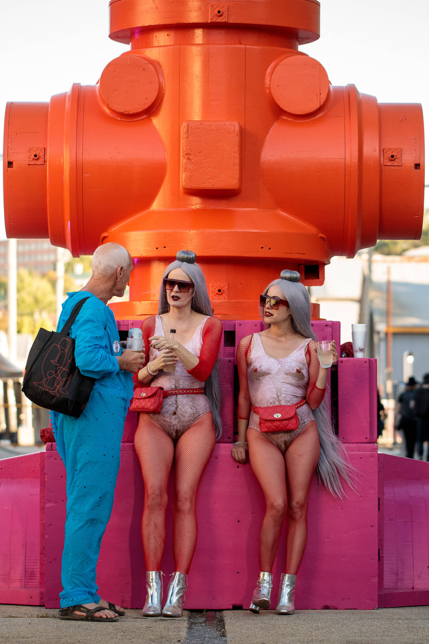 Tasmania_playboy_(06B).jpg