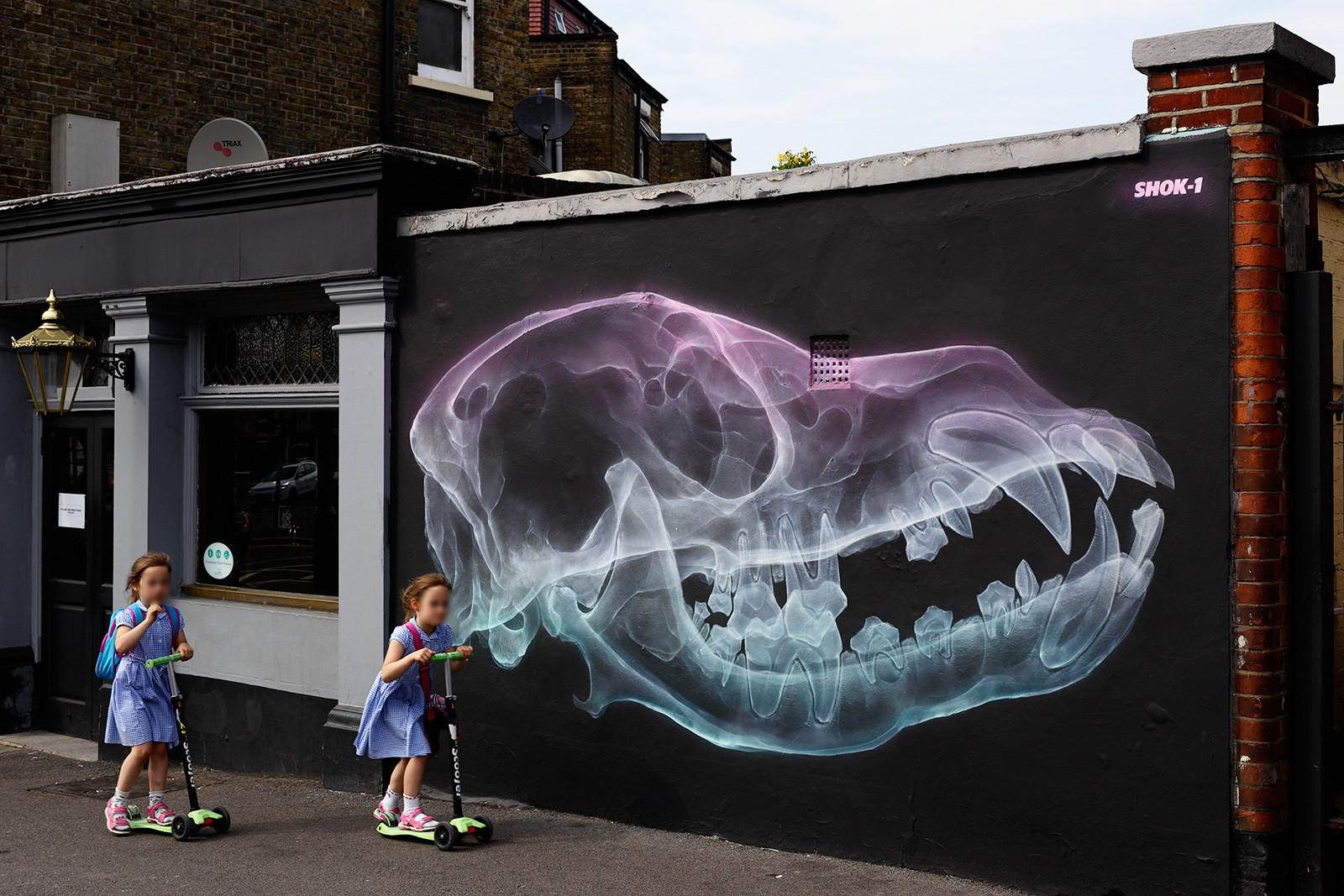 anatomy-street-artist-shok-1-62-asset-2-full.jpg