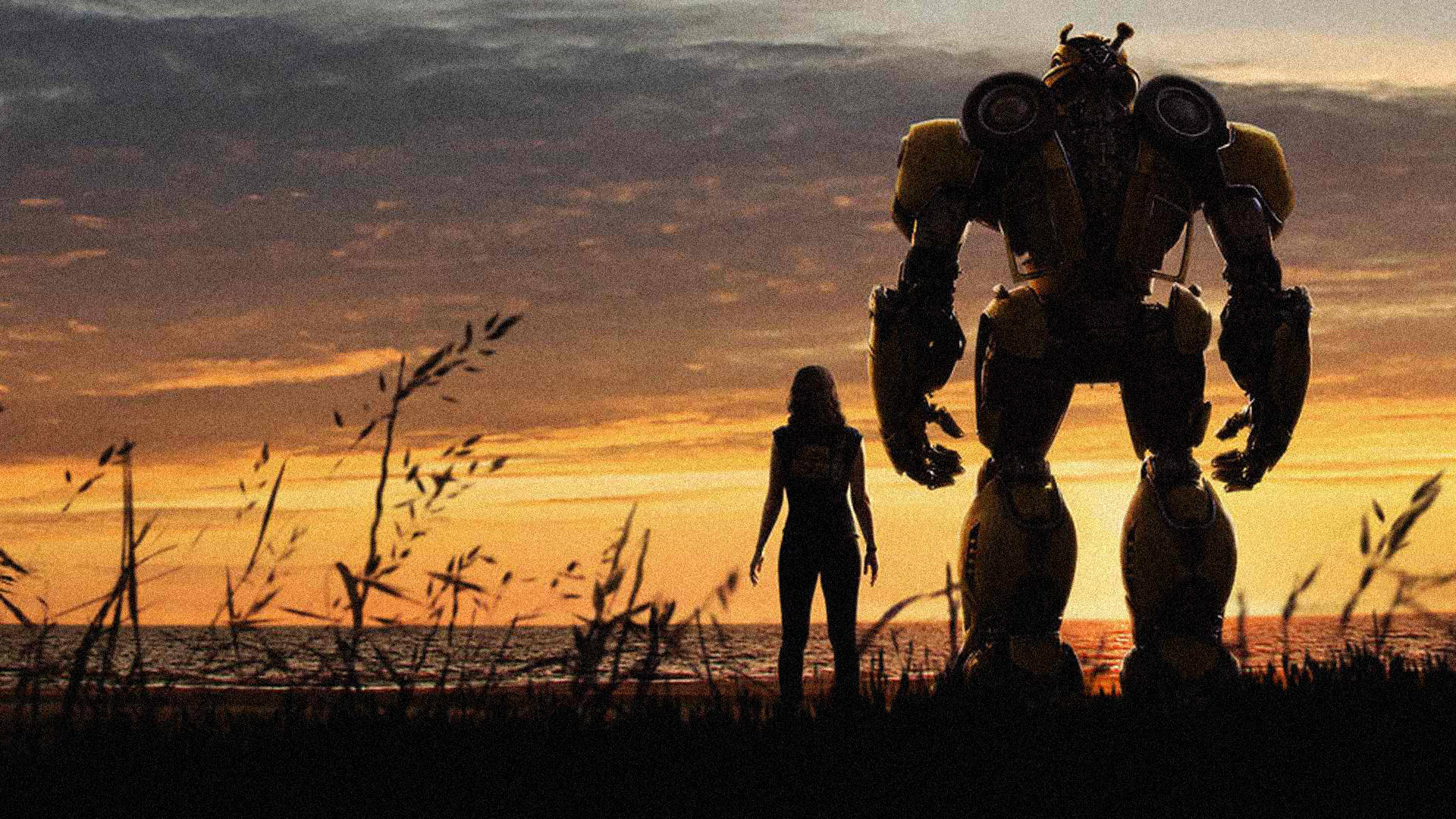 bumblebee_16x9.jpg