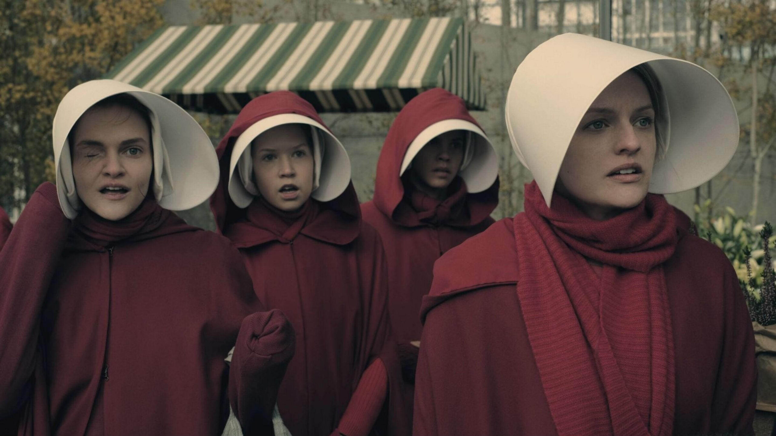 handmaids tale.jpg