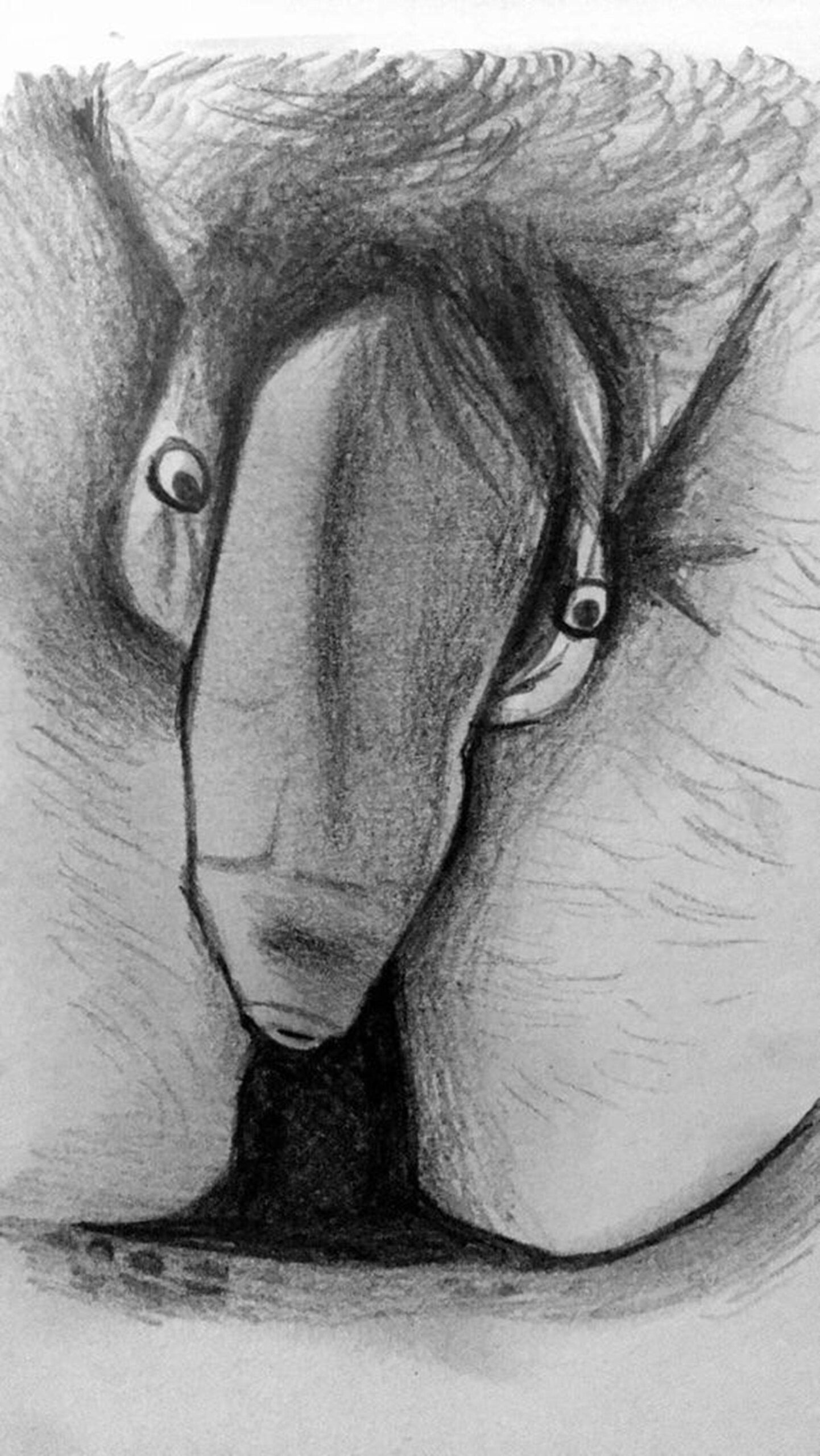meet-the-illustrator-whos-turning-your-dick-pics-into-art-120-asset-2-full.jpg
