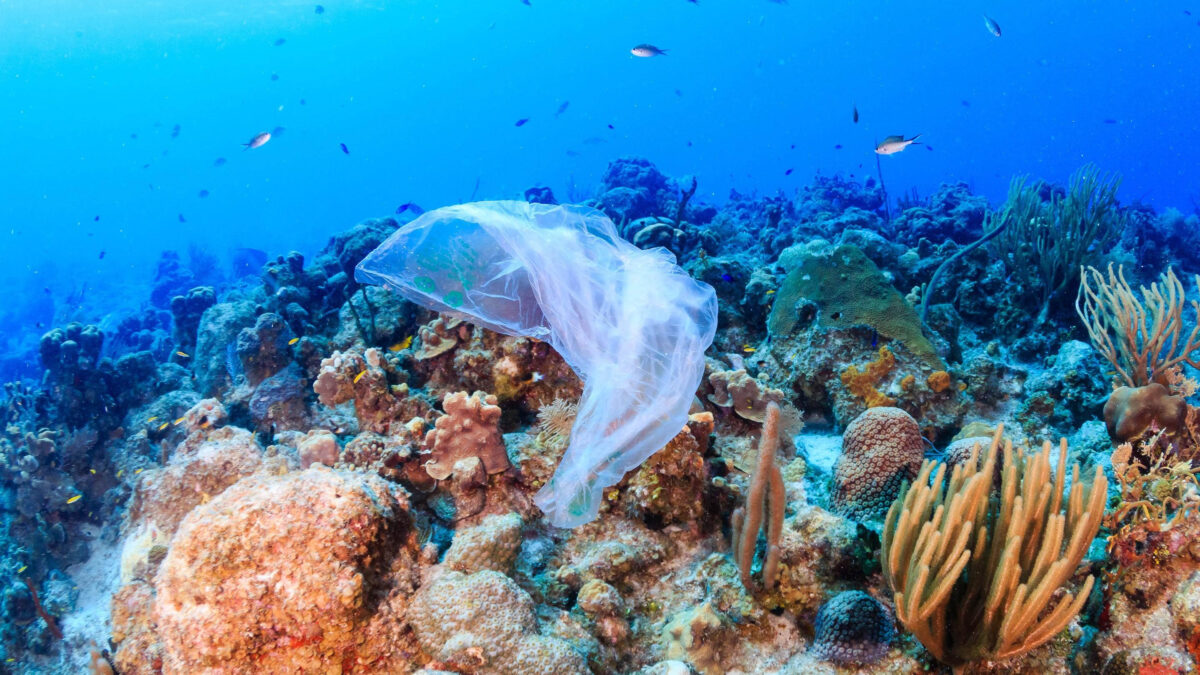 plastic-ocean-SFW16x9.jpg